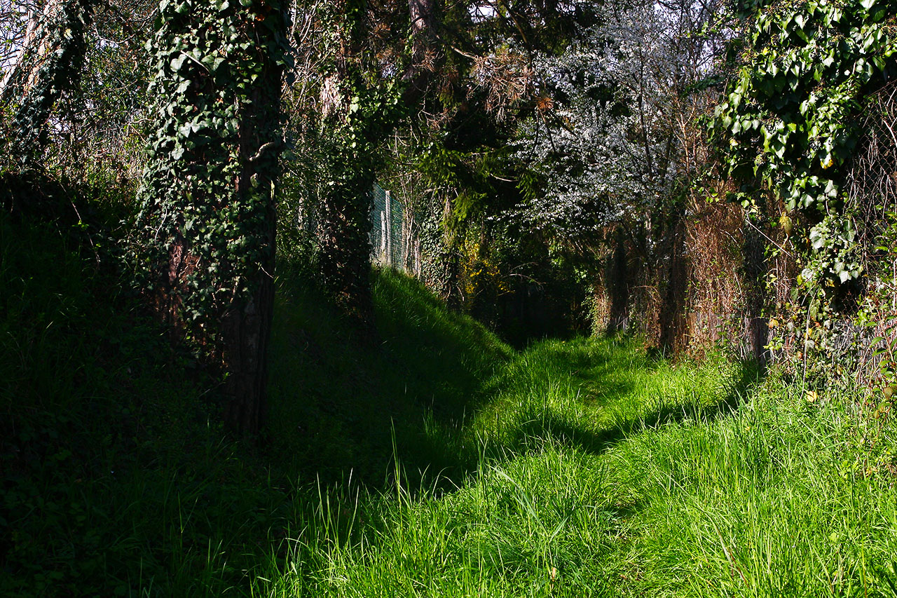 Sentiero Delle Volpere 6 Sentieri Natura Mussolente