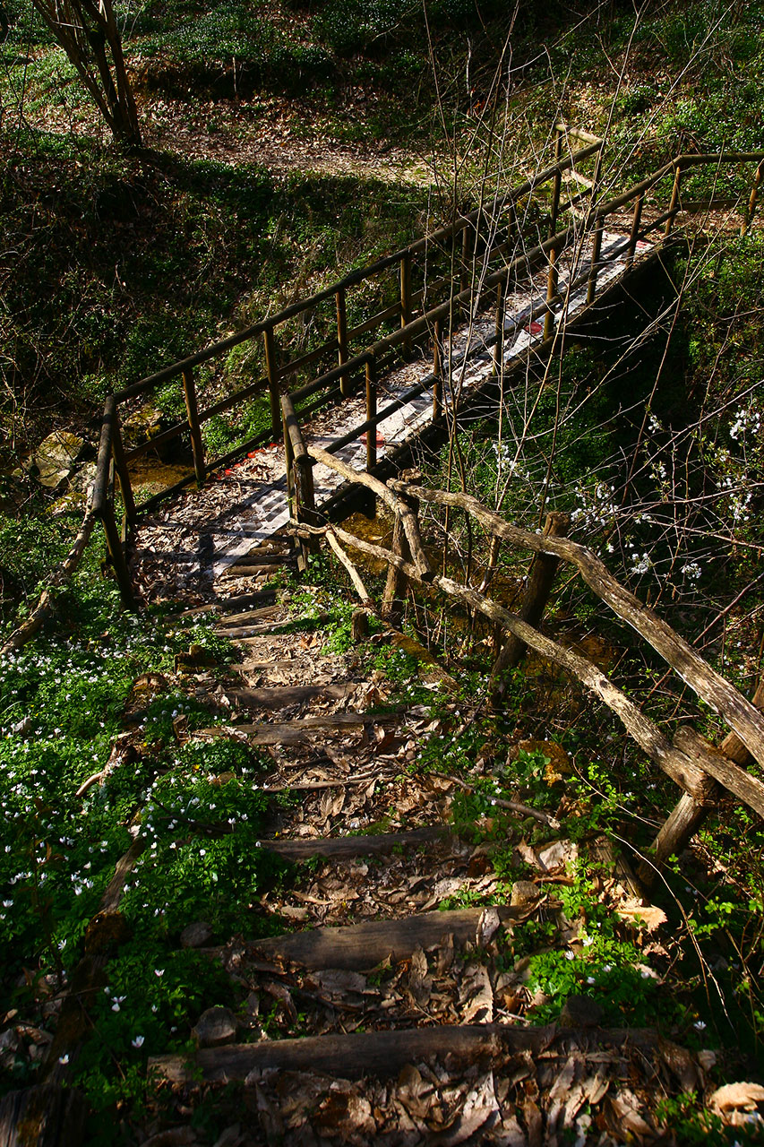Sentiero Delle Volpere 6 Sentieri Natura Mussolente