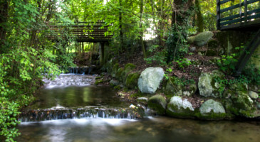 Sentieri Natura Mussolente Percorsi Naturalistici Tra Casoni E Mussolente