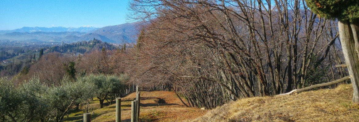 Sentieri Natura Mussolente Percorsi Naturalistici Tra Casoni E Mussolente